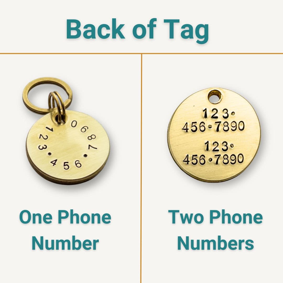 Round Solid Brass Dog Tag