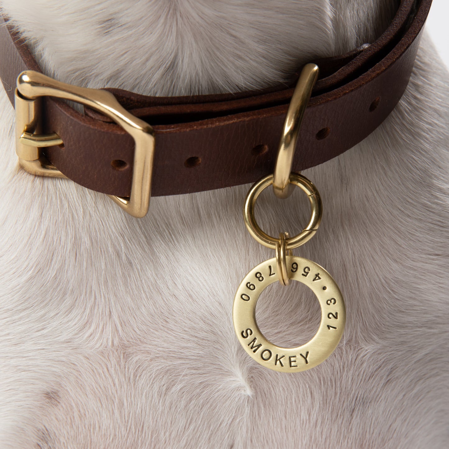 Brass Washer Dog Tag
