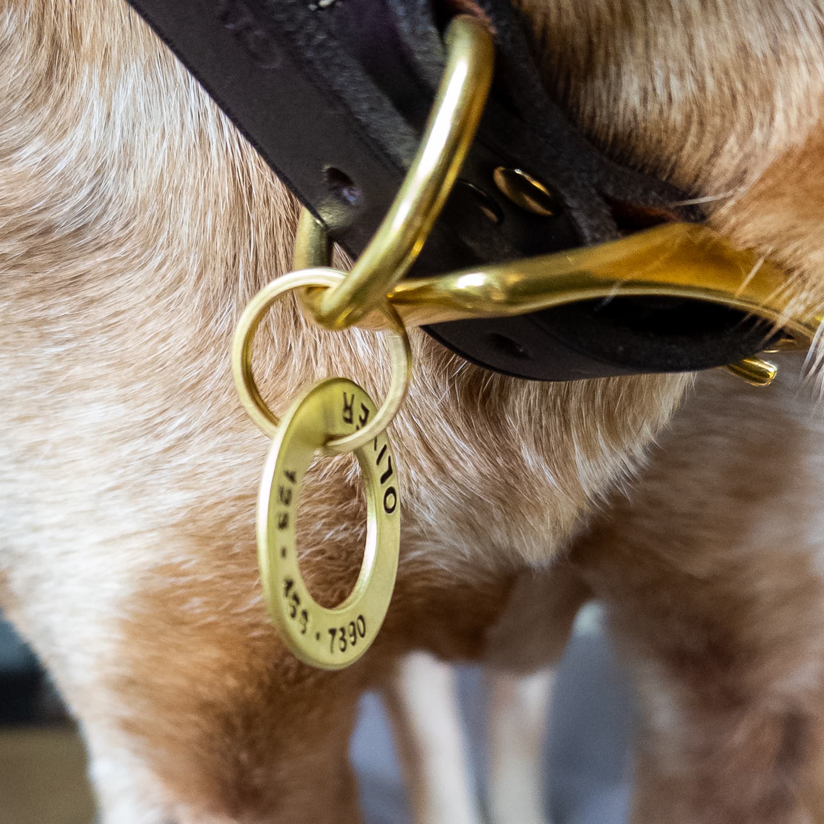 Side view of brass washer dog name tag showing thickness.