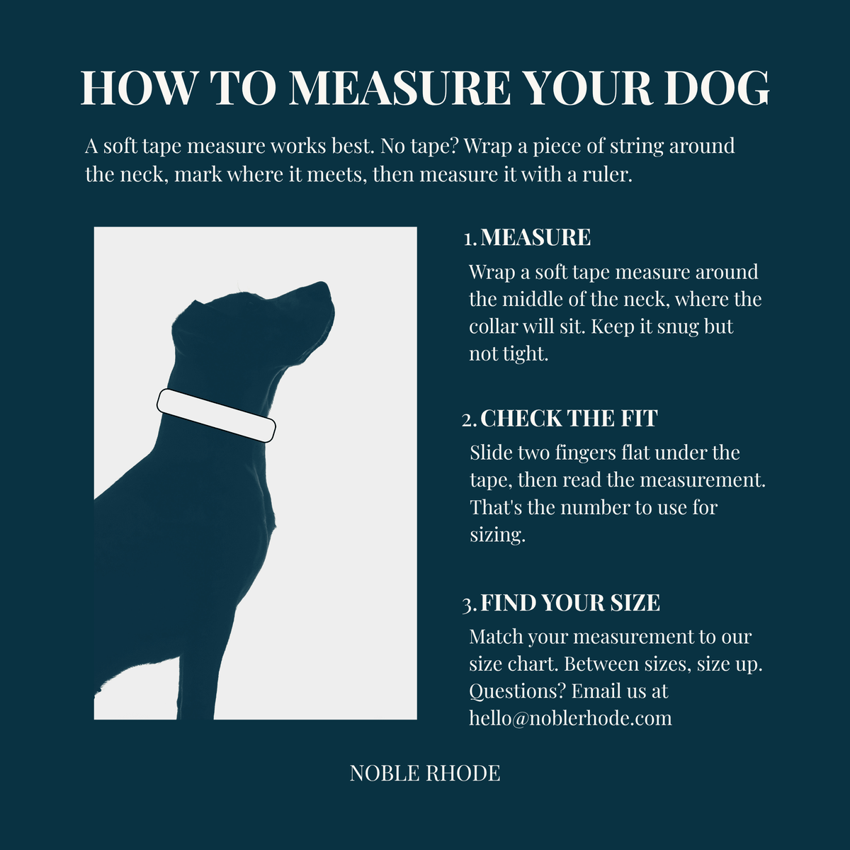How to measure your dogs neck, check the fit and find the correct collar size in three steps. 