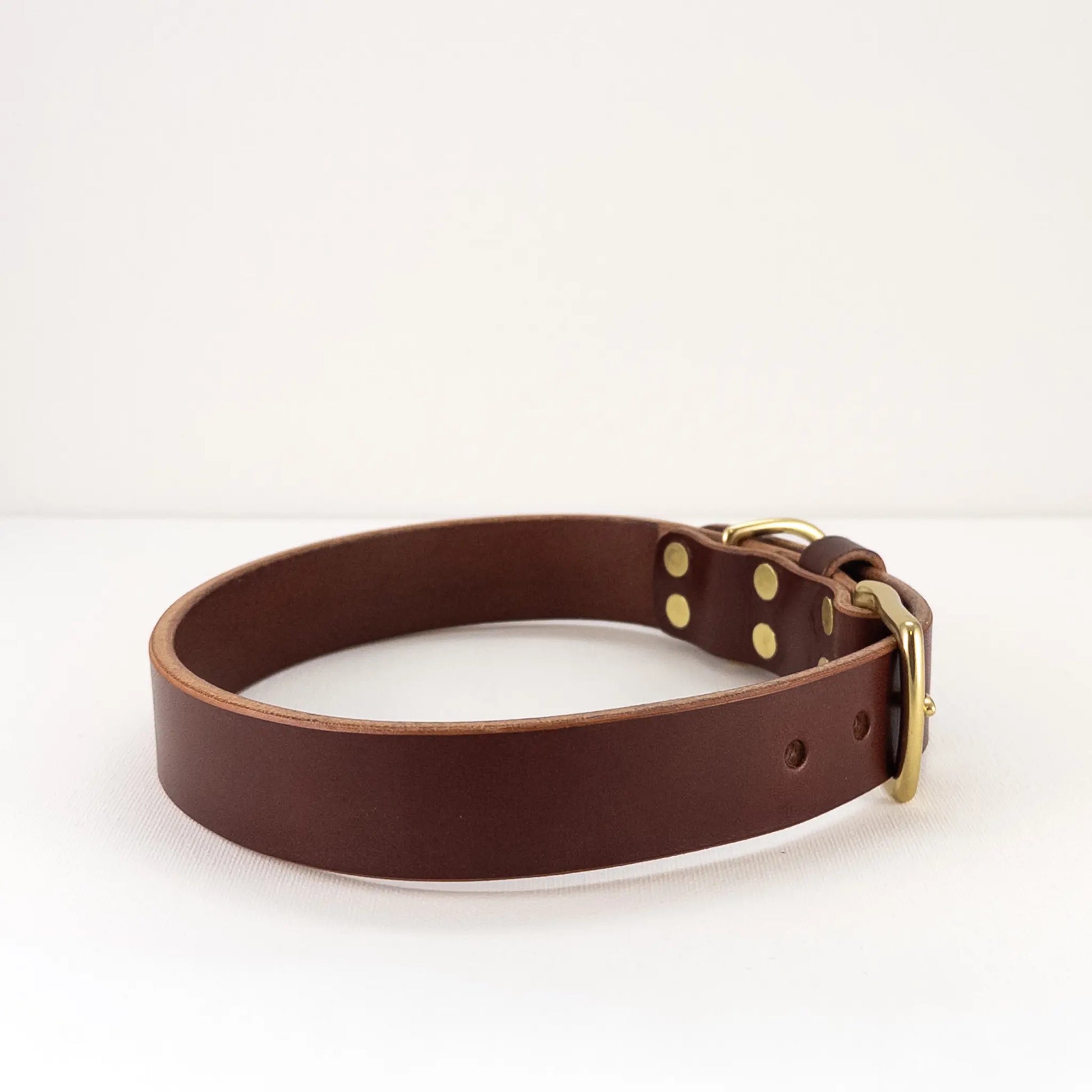 Back of Walnut leather dog collar showing the vegetable-tanned leather grain and solid brass rivets.