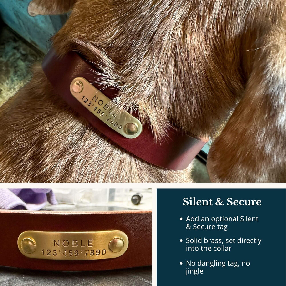 Add a optional solid brass Silent & Secure Tag personalized with your dog's name and a phone number. 